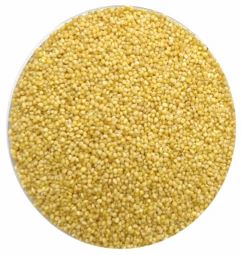 Foxtail Millet