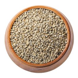 Pearl Millet